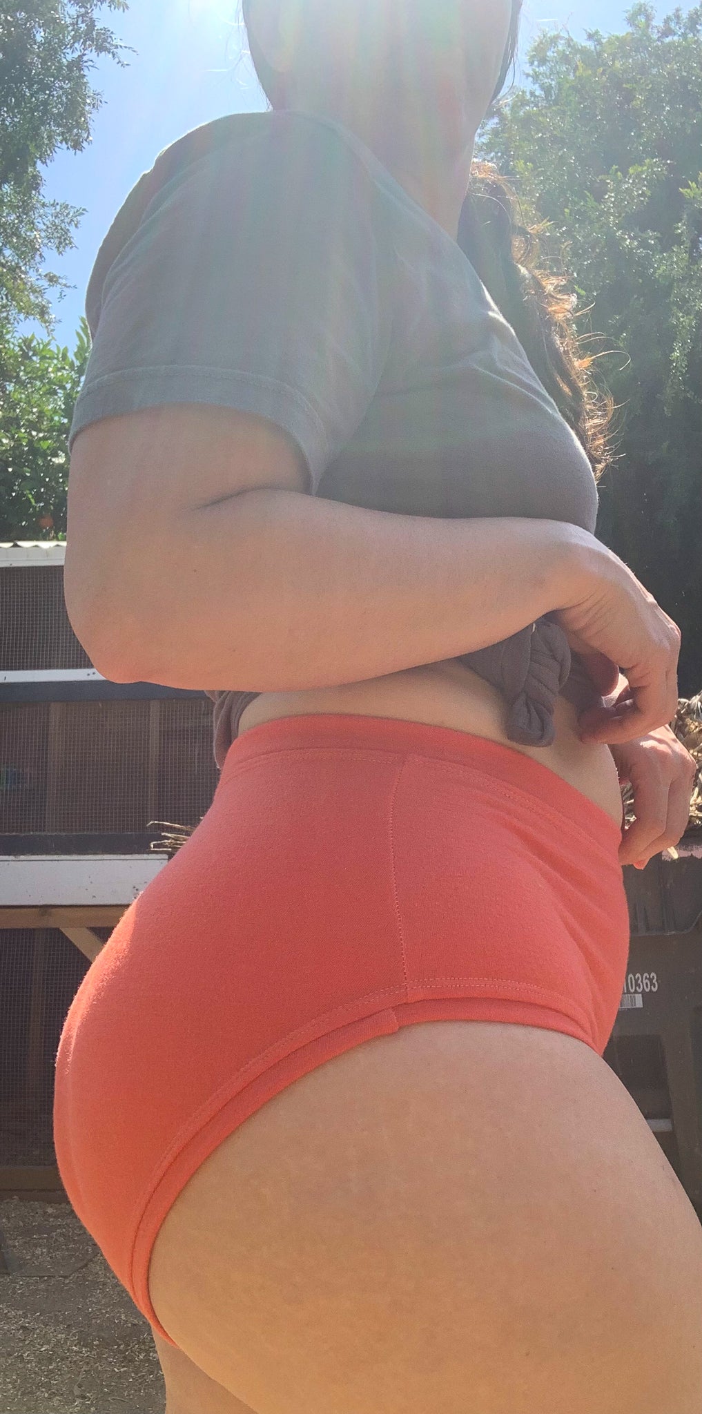 PRE-ORDER | Women's Merino Wool High-Rise Undies | 5 colors